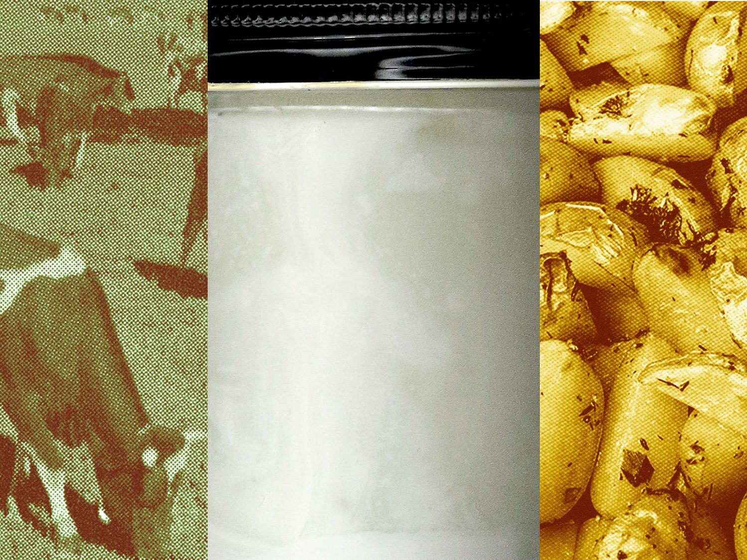 What Is Beef Tallow? And How to Cook With It